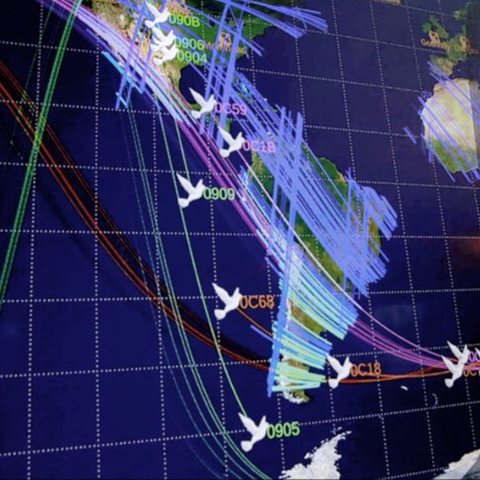 Satellite ground tracks on a mission control display